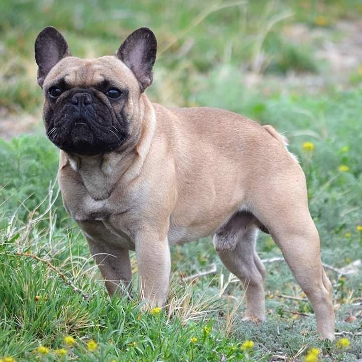 Shampoos and Conditioner