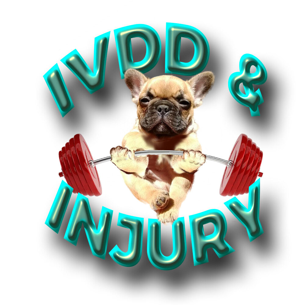 Ester C in 2 Formulas - Daily & IVDD