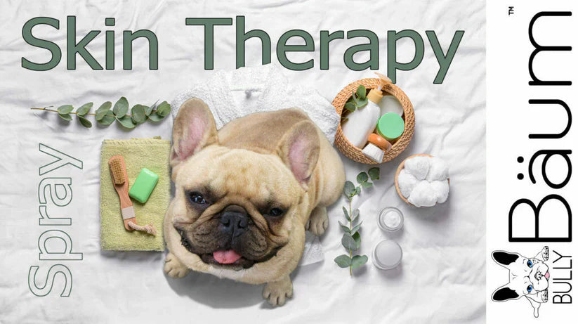 Top Dog Skin Care Products Every Pet Parent Should Know in 2025