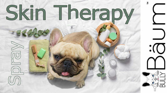 Top Dog Skin Care Products Every Pet Parent Should Know in 2025
