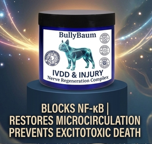 IVDD & Injury Support