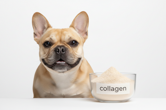 Collagen Type 1 and Type III