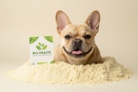 French bulldog sitting in a pile of light yellow powder with label BIO-HEALTH prebiotic, probiotic, digestive enzyme