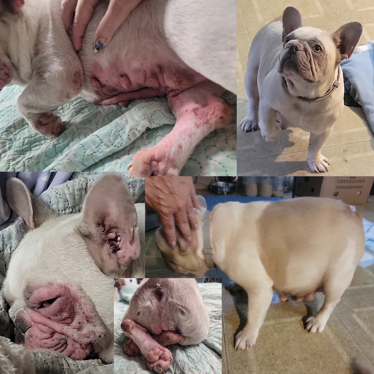 Skin Therapy Collection