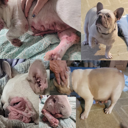 Skin Therapy Collection