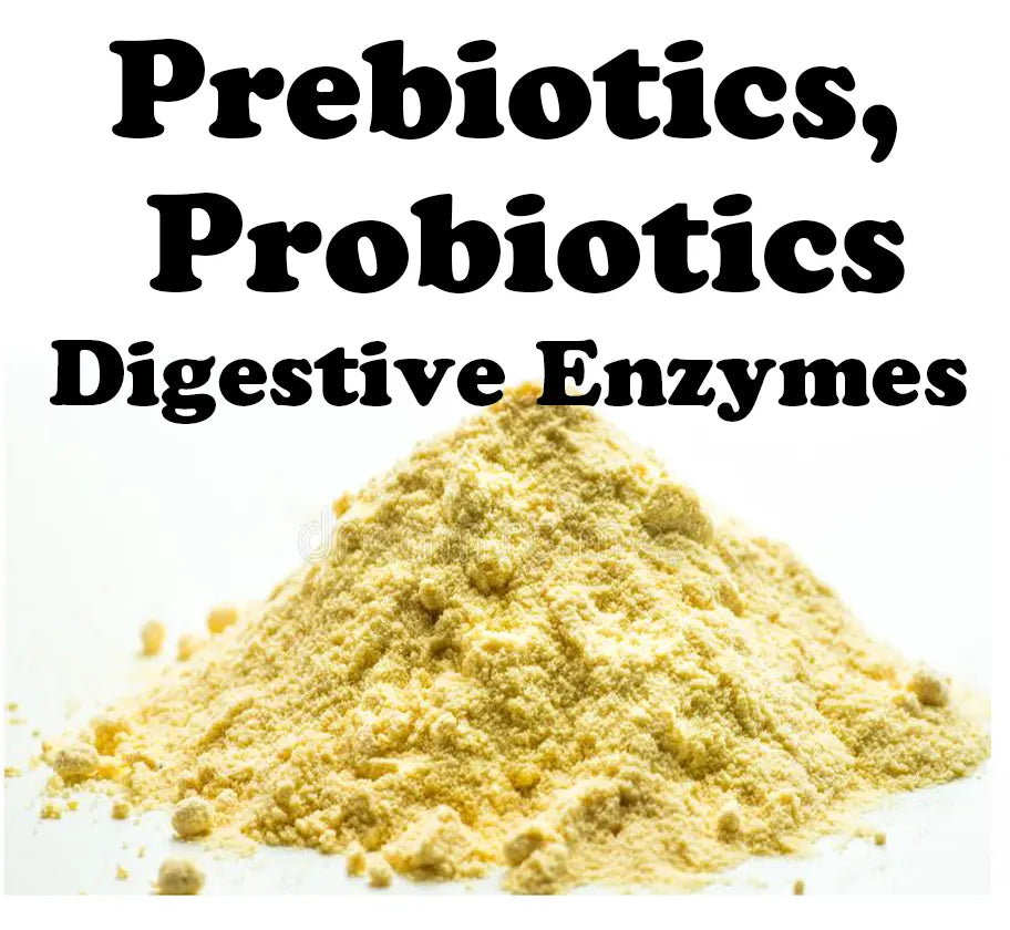 Advanced Pre/Probiotic & Digestive Enzyme