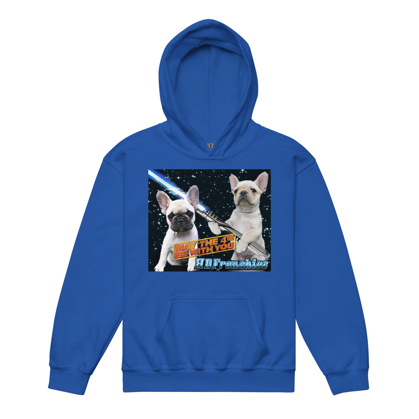 HDFrenchie Youth heavy blend hoodie