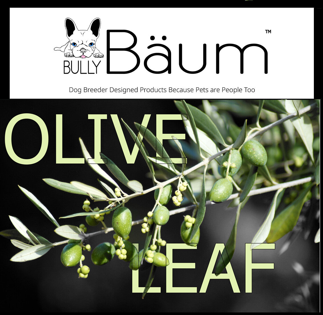 Olive Leaf 150 mg